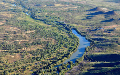 A water story on SBS