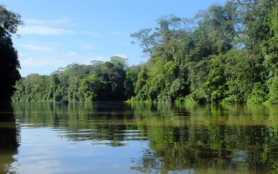 A story about Wimmera River