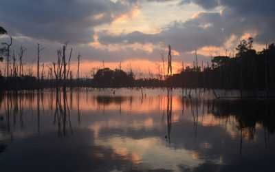 The People of the Narran Lakes