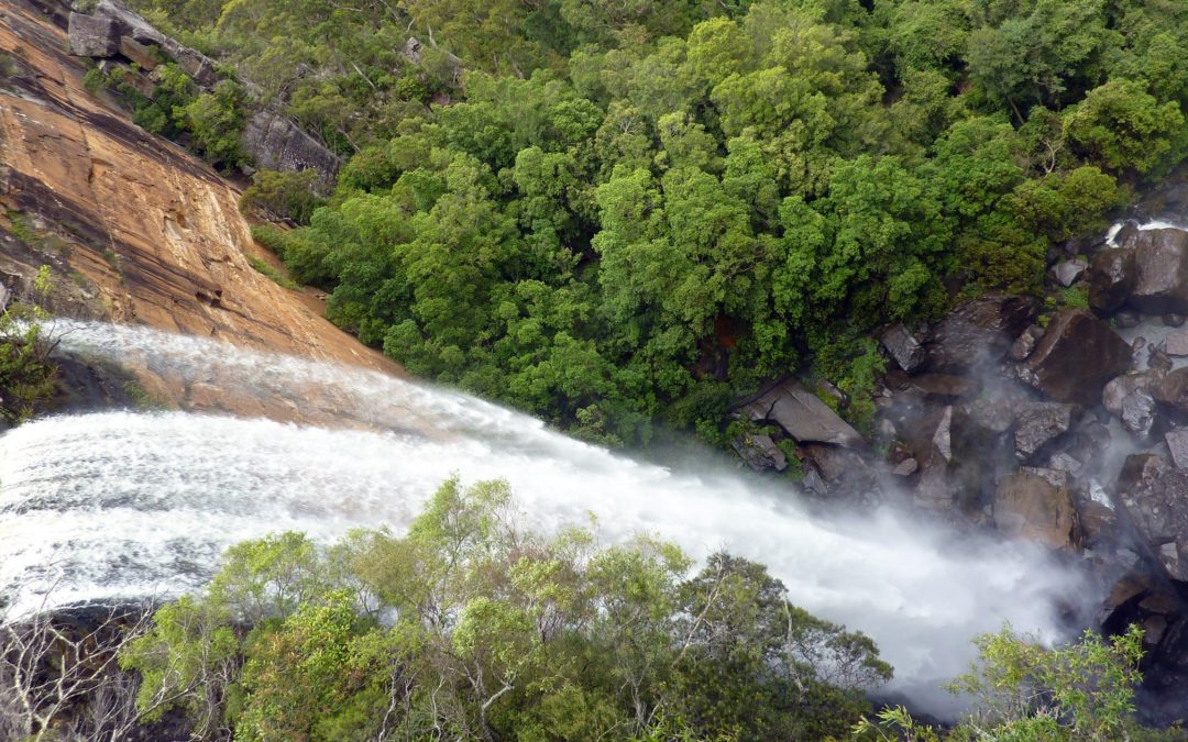 Martuwarrra Fitzroy River Council and Water Justice Hub submission on the National Water Initiative (NWI)