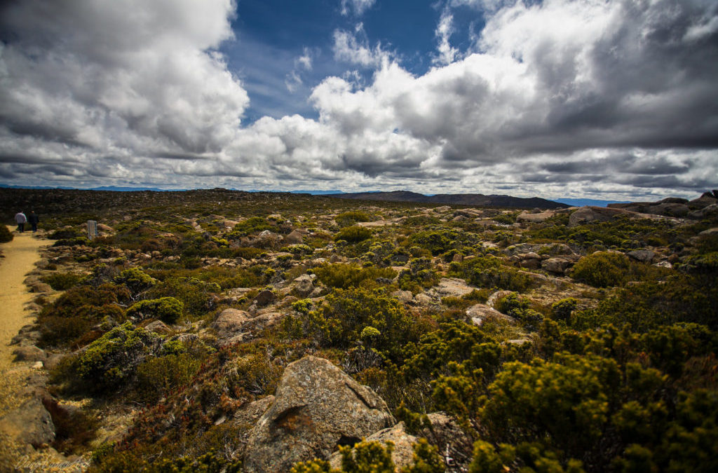 Australia, it is time to talk about our water emergency