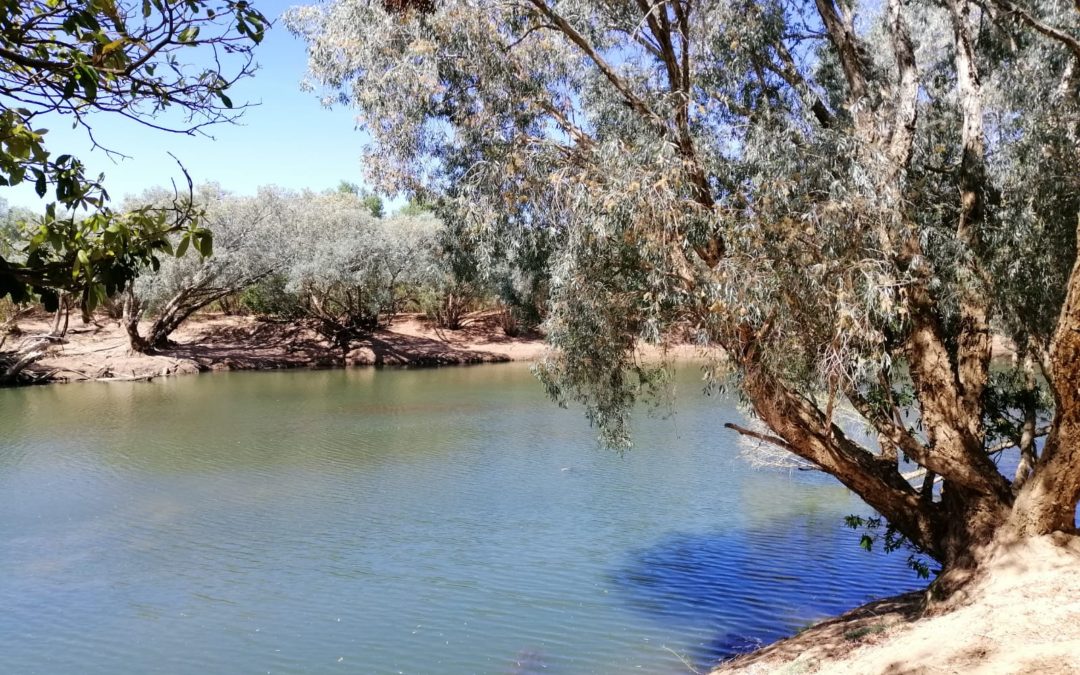 Submission by the Australian National University’s Institute for Water Futures to the Productivity Commission’s National Water Reform Inquiry