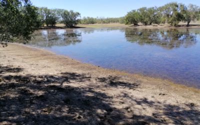 Meet the Aboriginal family fighting to save the Murray-Darling Basin