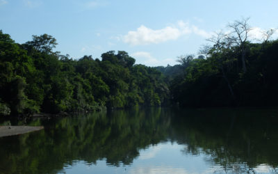 Guardians of the River