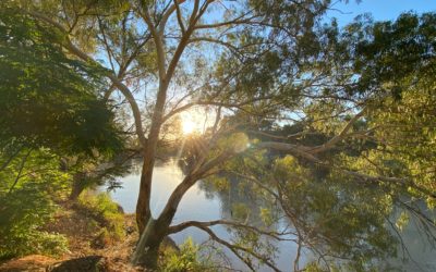 Aboriginal water values and management in northern Australia