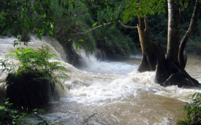 Are dams killing the Mekong river?