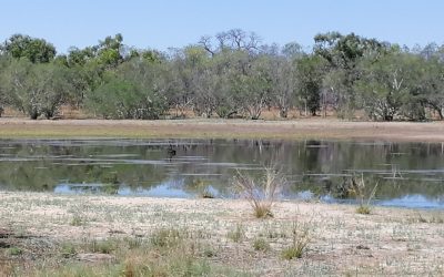 Lessons from the Australian city that nearly ran out of water