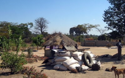 Water security in South Africa: Restoring indigenous ecosystems