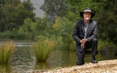 The price and value of water: An economic review